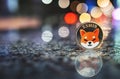 Shiba Inu or Shib cryptocurrency coin with copy space Royalty Free Stock Photo