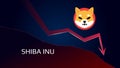 Shiba Inu SHIB in downtrend and price falls down.