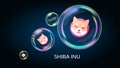 Shiba Inu SHIB token symbol in soap bubble, coin DeFi project decentralized finance.