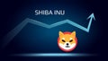 Shiba Inu SHIB in uptrend and price is rising.