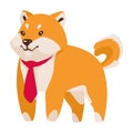 shiba inu wearing necktie