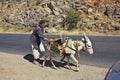 Shibam, Yemen - 02 Jan 2013: Man with the donkey in Shibam village in mountains of Yemen