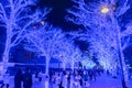 Shibuya Blue Cave winter illumination festival