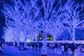 Shibuya Blue Cave winter illumination festival