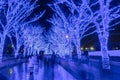 Shibuya Blue Cave winter illumination festival