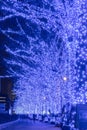 Shibuya Blue Cave winter illumination festival