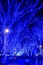 Shibuya Blue Cave winter illumination festival