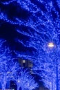 Shibuya Blue Cave winter illumination festival