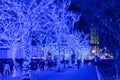 Shibuya Blue Cave winter illumination festival