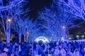 Shibuya Blue Cave winter illumination festival