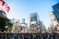 Shibuya crossing full of people, crosswalk cityscape, Pedestrians cross at Shibuya Crossing. Royalty Free Stock Photo