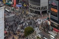 Shibuya Crossing XVIII