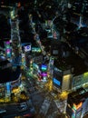 Shibuya Crossing XXII