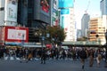 Shibuya pedestrian crossing, Tokyo, Japan