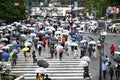 Shibuya Scramble Crossing. Tokyo. People with umbrellas crossing the street on rainy day.