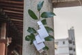 Shide streamers and saski leaves at shrine, Nagoya, Japan