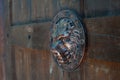 Shield in the form of a copy of the Forged Roman Lion on wooden gates. Right view.
