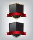 Shield gold and silver with red ribbon