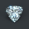 Shield shape unset diamond trillion cut