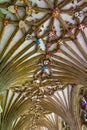 Cloister ceiling bosses Canterbury Cathedral Kent United Kingdom