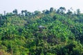 Shifting Cultivation Field over Bangladeshi hill tracts near Cox's Bazar. Shifting cultivation landscape