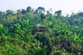 Shifting Cultivation Field over Bangladeshi hill tracts near Cox's Bazar. Shifting cultivation landscape