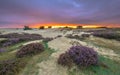Shifting sands and Heath sunset Royalty Free Stock Photo