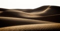 The Shifting Sands of the Arabian Desert