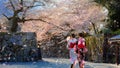 Young Japanese women in traditional Yukata dress wih full bloom cherry blossom at Hikone Castle in Shiga, Japan Royalty Free Stock Photo