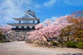 Nagahama Castle in Shiga Prefecture, Japan during full bloom cherry blossom Royalty Free Stock Photo