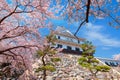 Nagahama Castle in Shiga Prefecture, Japan during full bloom cherry blossom Royalty Free Stock Photo