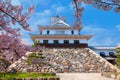 Nagahama Castle in Shiga Prefecture, Japan during full bloom cherry blossom Royalty Free Stock Photo