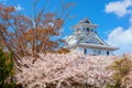 Nagahama Castle in Shiga prefecture, Japan during full bloom cherry blossom Royalty Free Stock Photo