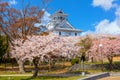 Nagahama Castle in Shiga Prefecture, Japan during full bloom cherry blossom Royalty Free Stock Photo