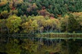 Shiga Kogen Early morning view of autumn leaves at Kido Pond. Royalty Free Stock Photo