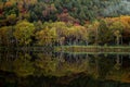 Shiga Kogen Early morning view of autumn leaves at Kido Pond. Royalty Free Stock Photo