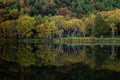 Shiga Kogen Early morning view of autumn leaves at Kido Pond. Royalty Free Stock Photo