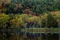 Shiga Kogen Early morning view of autumn leaves at Kido Pond. Royalty Free Stock Photo