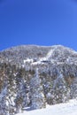 Shiga kogen Ski resort