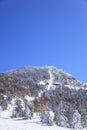 Shiga kogen Ski resort