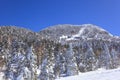 Shiga kogen Ski resort