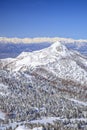 Shiga Kogen in winter Royalty Free Stock Photo