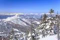 Shiga Kogen in winter Royalty Free Stock Photo