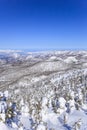 Shiga Kogen in winter