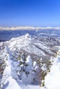 Shiga Kogen in winter Royalty Free Stock Photo