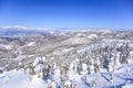 Shiga Kogen in winter