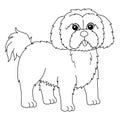 Shih Tzu Dog Coloring Page Isolated for Kids