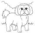 Shih Tzu Dog Coloring Page for Kids