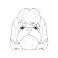 Shih Tzu dog easy coloring cartoon vector illustration. Isolated on white background