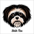 Shih Tzu Dog head showing tongue in vector design